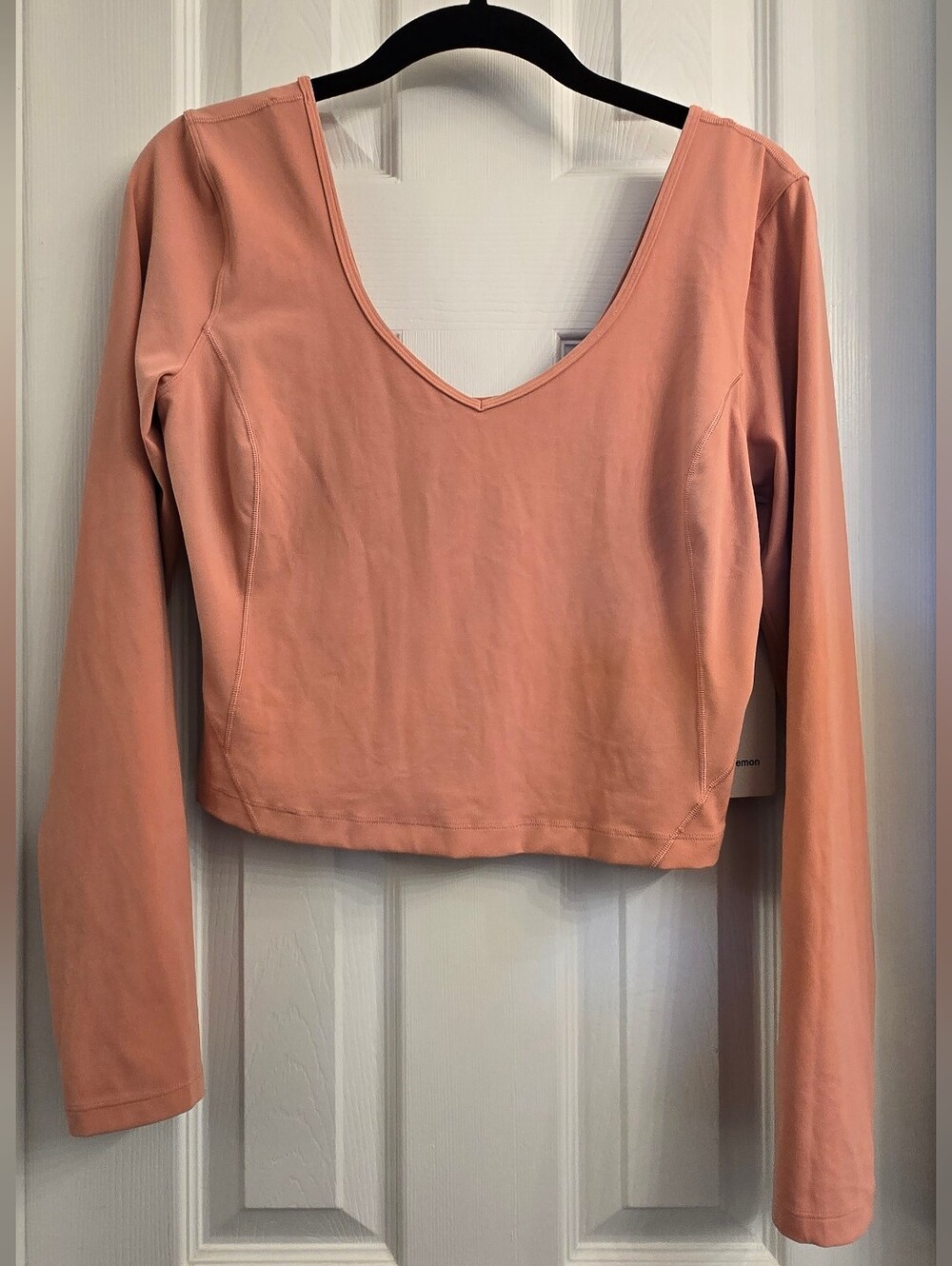 lululemon athletica - Peach Align Long Sleeve